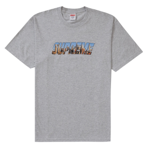Gotham Tee "Ash Gray" SU28686