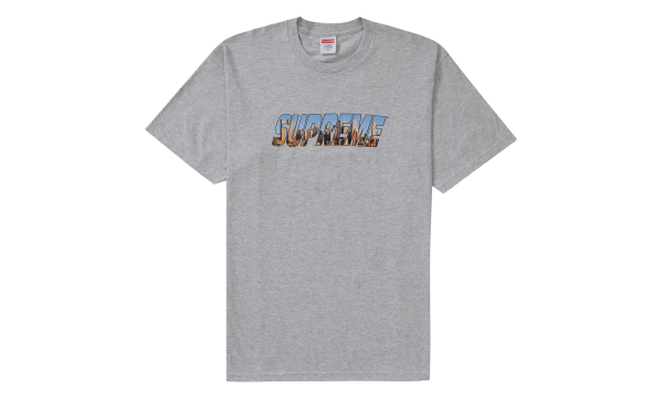 Gotham Tee "Ash Gray" SU28686